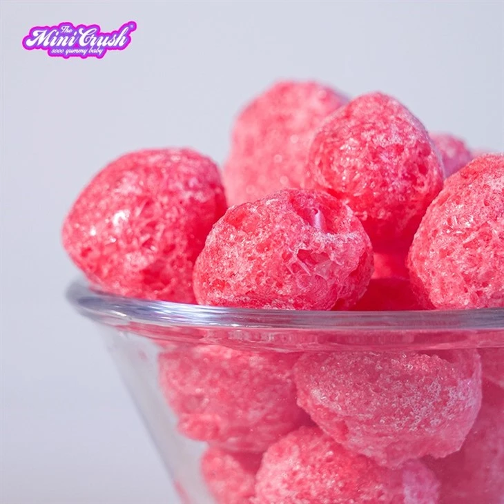 Freeze Dried Crunchy Berry suppliers