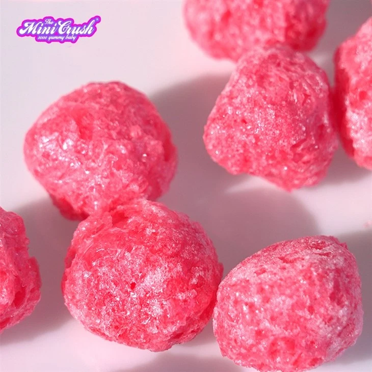 Freeze Dried Crunchy Berry factory