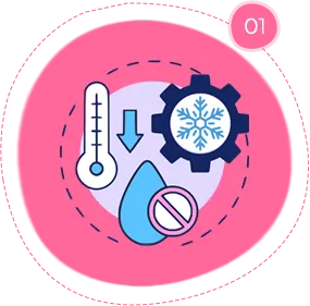 -35 Freeze-Dried Technology -35 Freeze-Dried Technology